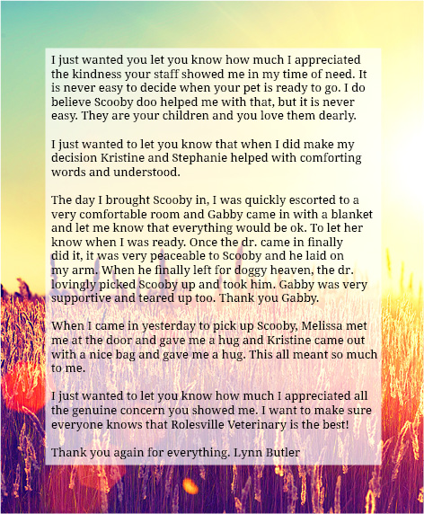 Testimonials