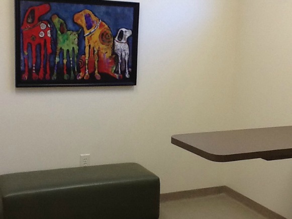 Rolesville Veterinary Hospital Exam Room