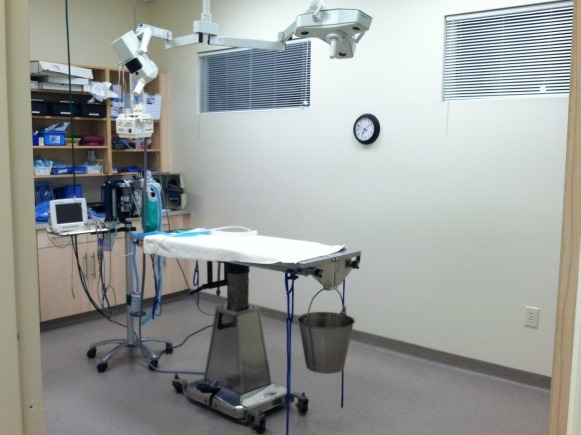 Rolesville Veterinary Hospital Operating Room
