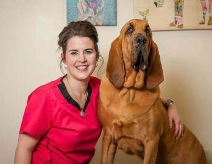Meet Our Doctors & Staff - Rolesville Veterinary Hospital