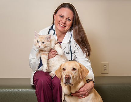Meet Our Doctors & Staff - Rolesville Veterinary Hospital