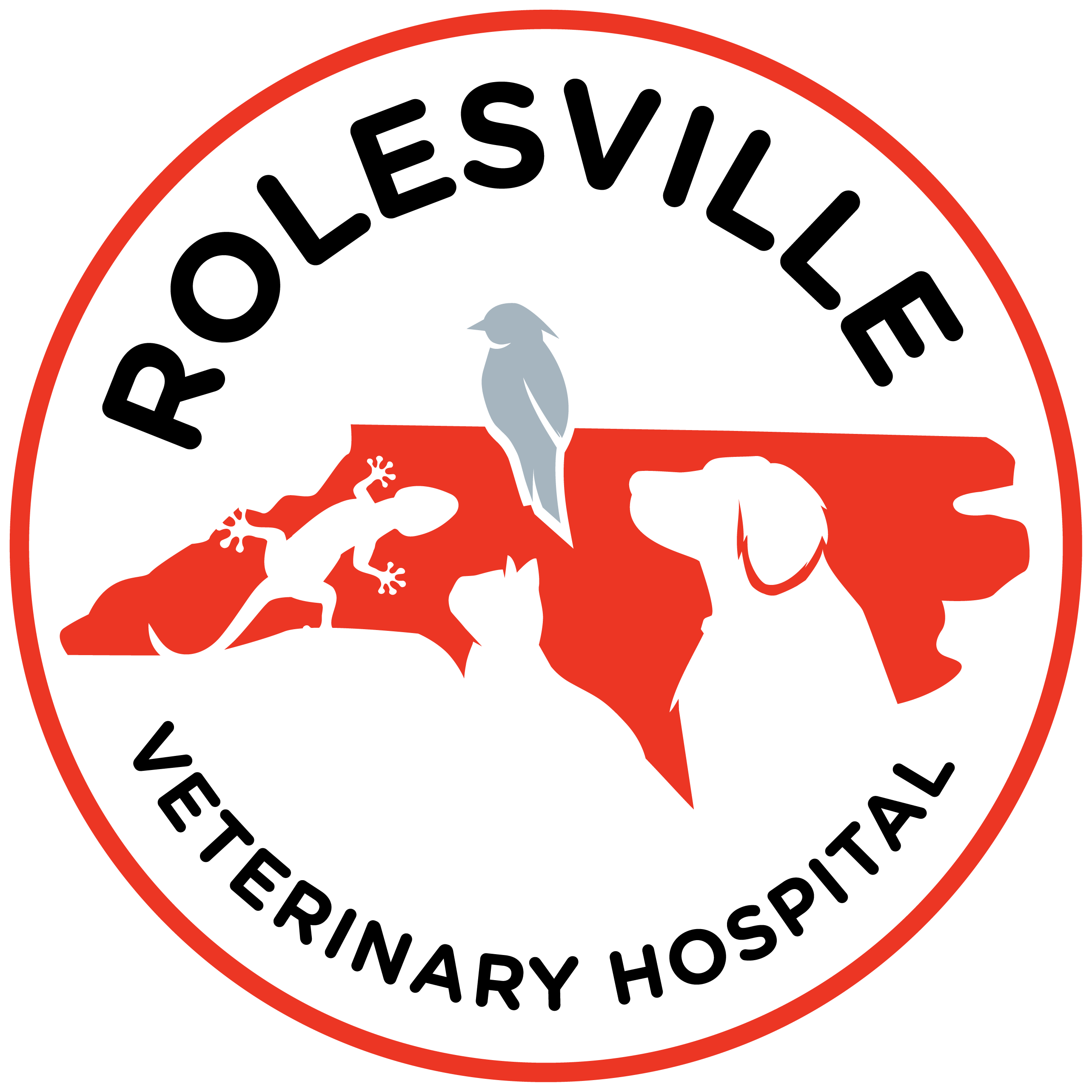 Rolesville Veterinary Hospital