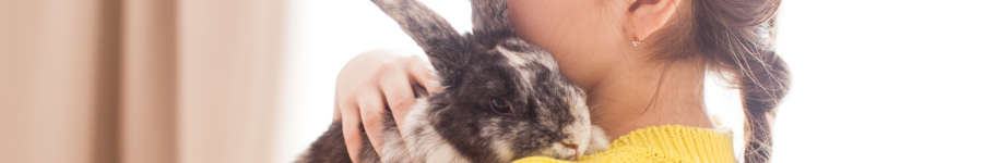 Vets for rabbits